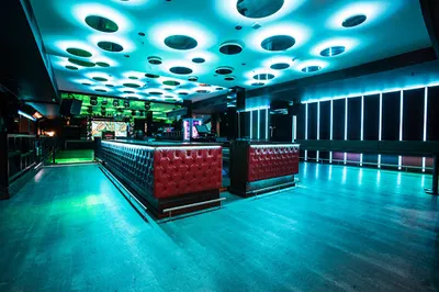 Safari Disco Club