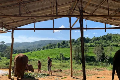 Elephant Jungle Sanctuary
