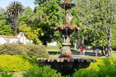 Montevideo Botanical Garden