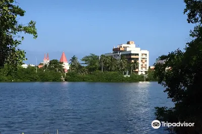 Espíritu Del Manglar Park