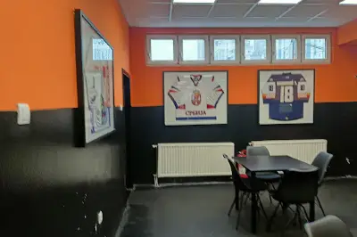 Pingvin - Beostar Skating Ring