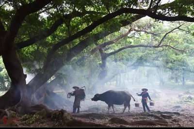 Xiapu Photography Trip During the 2023 May Day Holiday