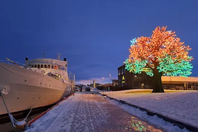 The Oslo Tree