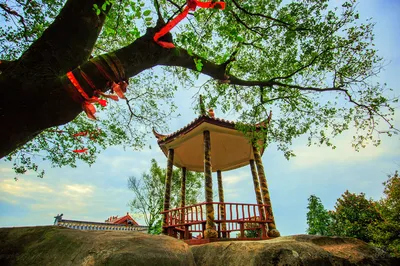 Good Scenery Not to Keep Secret | Two-Day Weekend Getaway to Langxi, the Hometown of Green Tea