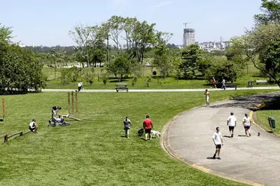 Región 96 Park