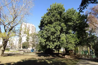 Giordano Bruno Plaza