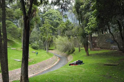 Parque Nacional Enrique Olaya Herrera
