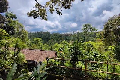 Cantik Agriculture Luwak Coffee