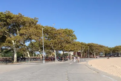 Manhattan Beach Park