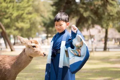 Traveling the World with Guang Ge: A Sweet Date with Sakura in Kansai