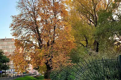 Andrea Zanzotto Park
