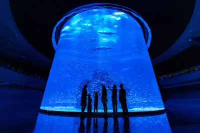 Xiaomeisha Sea World