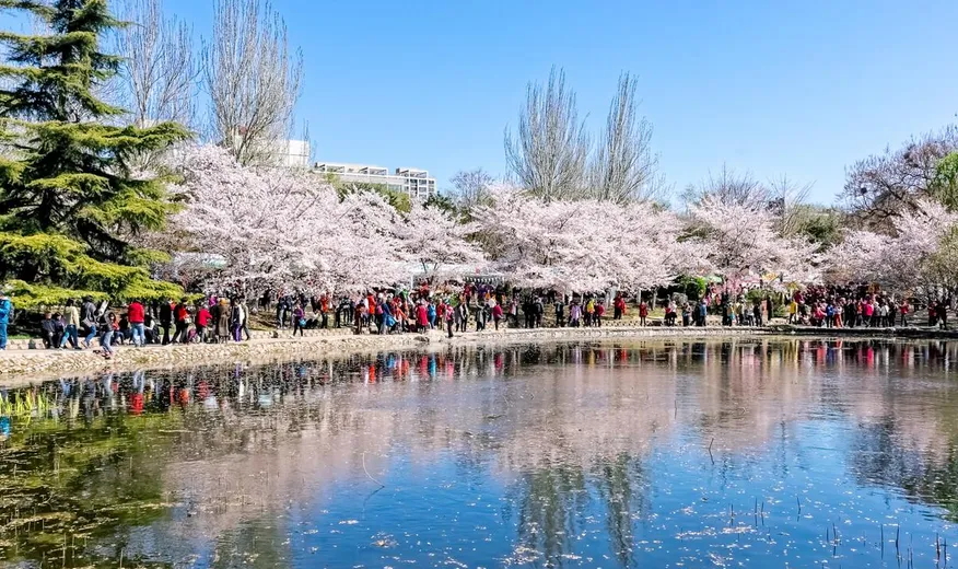 还在北京挤？周末保定等你来挖历史