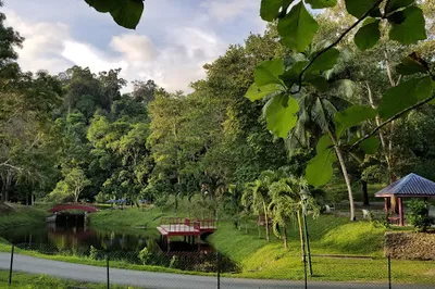 Mardi Langkawi