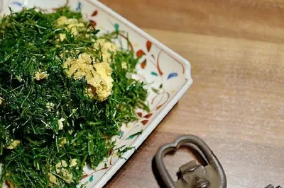 兩年城市種菜日記：永續這件事，已經像烙鐵一樣燙進我的身體裡。
