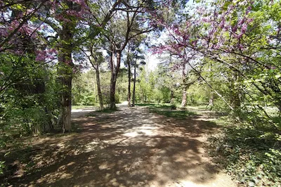 Dighomi Park
