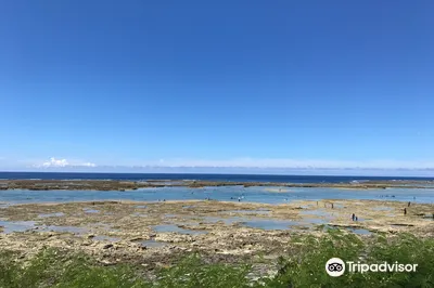 Ōdo Beach