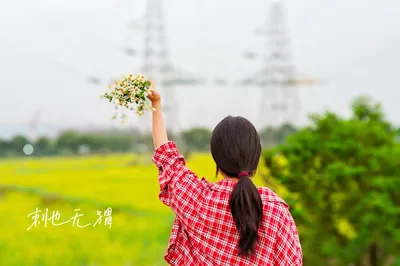 Skip Wuyuan: Guangzhou's Stunning Rapeseed Flower Sea Lies on an Island Still Without Cars