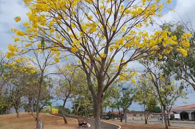 La Riviera | Don Bosco Park