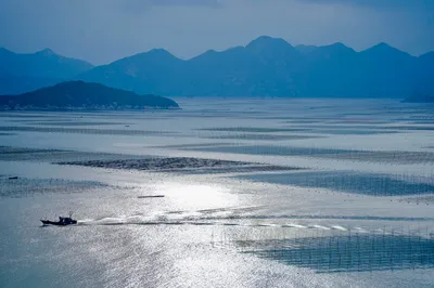 A 5-Day, 4-Night Self-Drive Trip to Xiapu: Falling in Love with the Sea, Villages, Banyan Trees, and the Scent of Seafood in the Air!