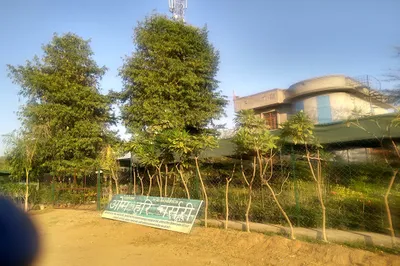 Mehta Garden