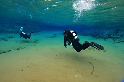 Diving Island