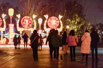 Spring Festival Hotspot! Why is the Garden Expo Park So Attractive That Over 100,000 Visitors Flocked to Check In?