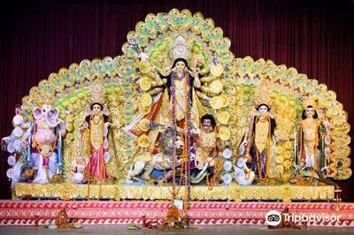 Chittaranjan Park Kali Mandir Society