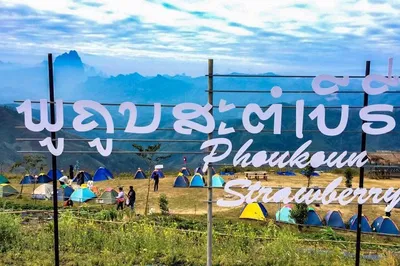 Phoukoun Strawberry Farm