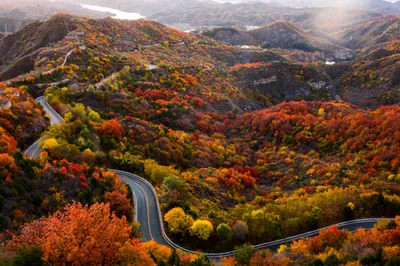 Double Ninth Festival: Autumn Returns to Yunmeng Mountain – The Best Red-Leaf Spot Awaits Your Visit