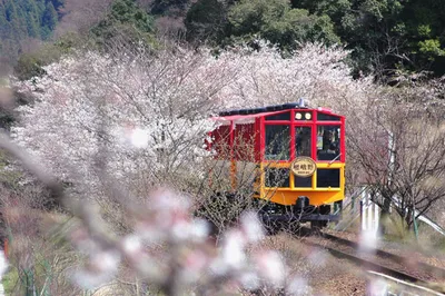 Arashiyama Sagano Romantic Train