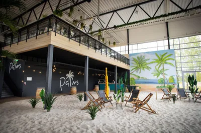 Palms Beach Club