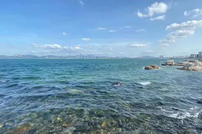 青島嶗山，海與茶園