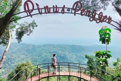 Hutan Pinus Pengger
