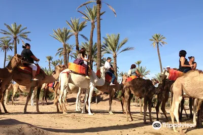 Marrakech Quad Evasion