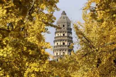 Tiger Hill Tower