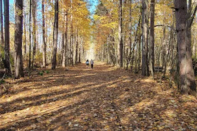 Pine Grove Trail