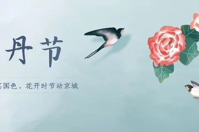相約洛陽城，豫見牡丹美