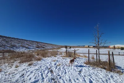 Lowry Dog Park