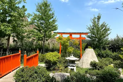 Botanical Garden Waterfall