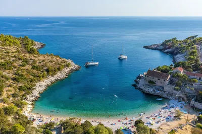 Dalmatian coastal