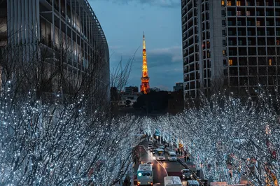 冬遊日本，東京CityWalk