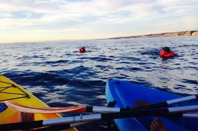 Just Kayak
