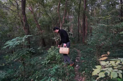 鍾山裡散步的美學家