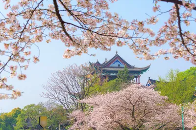 晴川阁