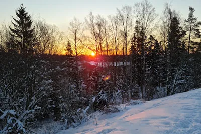 Malminkartanonhuippu