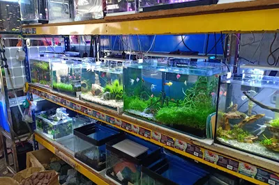 新命水族馆