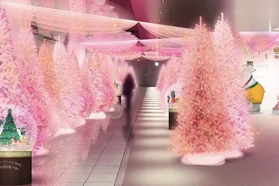 2024 日本聖誕活動攻略(大阪/京都/北海道)