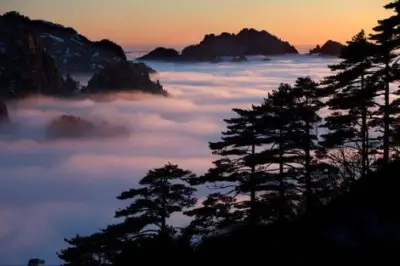 清明雨 欲何行？