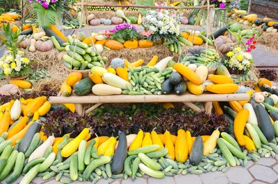 Phosy Market